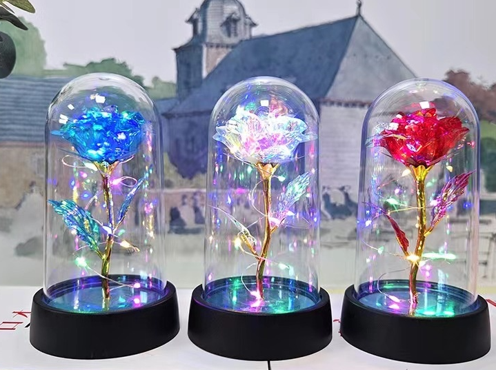 Three colorful roses in glass domes with a blurred background