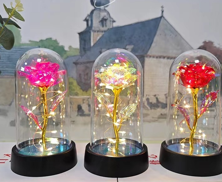 Three illuminated roses in glass domes with a blurred building in the background