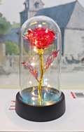 Decorative red rose in a glass dome with a black base, set against a blurred outdoor background.