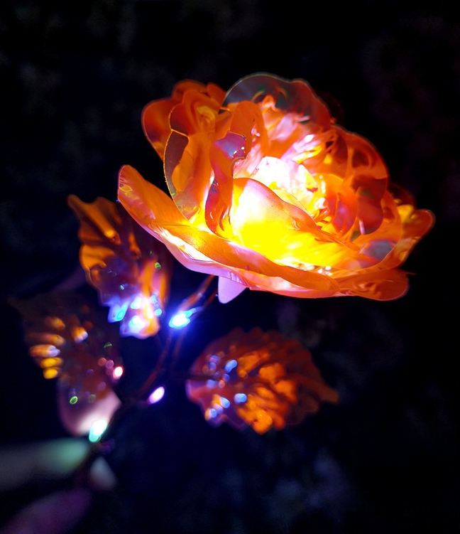 Decorative LED flower lights on a dark background