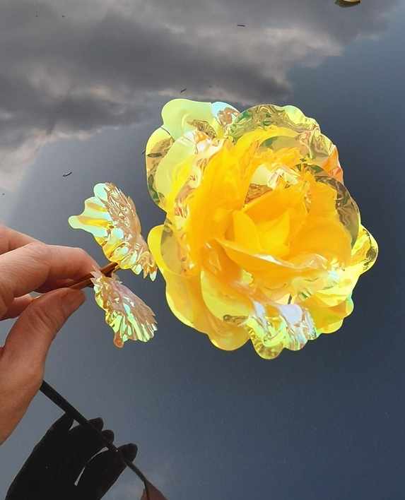 Yellow flower held against a dark sky
