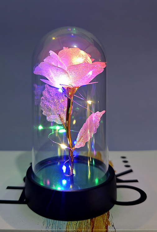 Eternal Gold Foil Rose in Dome with LED Lights - Glittering Rose